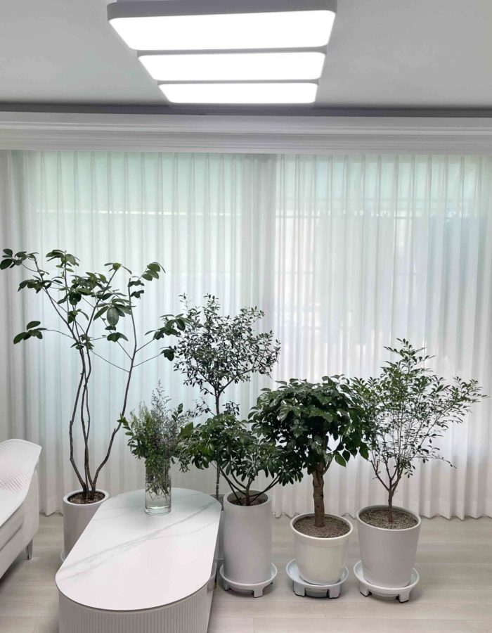 KakaoTalk_20240612_153509915_07